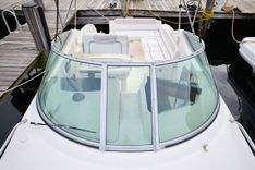 WELCOME TO THE JUNGLE 260 Sea Ray Cruising Yacht price