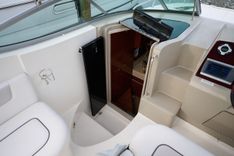 best yacht sales deals WELCOME TO THE JUNGLE