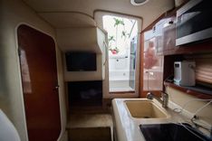 WELCOME TO THE JUNGLE 26 yacht sale