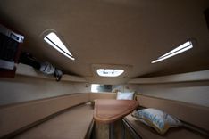 Buy a yacht WELCOME TO THE JUNGLE - SEA RAY