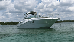 Sundancer 310 - SEA RAY