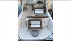 Лучшая цена на Sundancer 310 310