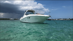 Продажа яхты Sundancer 310 - SEA RAY
