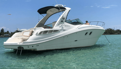 Купить Sundancer 310 2008