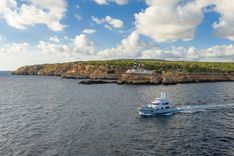 Купить VIVIERAE II 2017