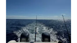 Buy a yacht 2003 World Cat 270 EC