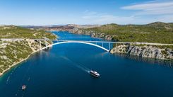 Купить Black Mamba - Sunseeker