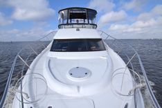 Bear Foot II (Copy) 39 price