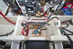 Bear Foot II (Copy) 39 price