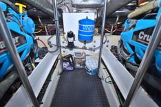 Bear Foot II (Copy) 2006 price