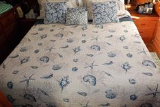 Zeus - MARINE TRADER