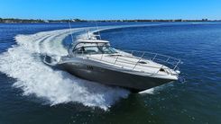 Лучшая цена на VOODOO KREWE 44