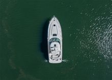 Лучшая цена на VOODOO KREWE