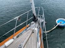 REDSTART - LITTLE HARBOR price