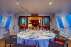 Купить SEA LIION