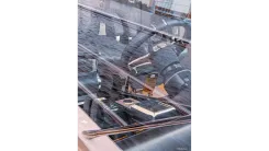 Лучшая цена на MishMish - Sunseeker