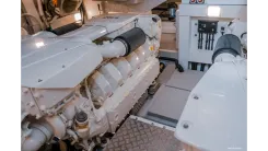 MishMish - Sunseeker