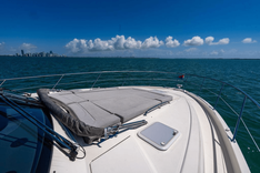 Купить яхту Bald Eagle 2024 в Shestakov Yacht Sales