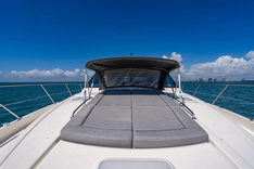 Лучшая цена на Bald Eagle 2024