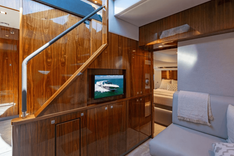 Bald Eagle - Riviera