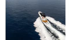 PREDATOR 55 Predator 55 price