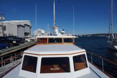 Liberty Love - TRUMPY