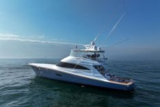 Zatara - VIKING price