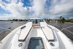 DUKE 50 Cantius price