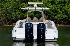 SPRINKLES - HCB price