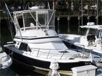 Buy a 29' Blackfin 1988 Sport Combi 29 at Shestakov Yacht Sales