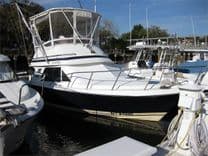 Buy a yacht 29' Blackfin 1988 Sport Combi - Blackfin