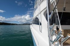 Купить Defiance - VIKING