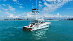 the best price on Tiburon