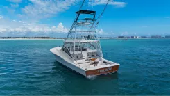 Tiburon 410 Express price