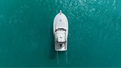 the best price on Tiburon 41