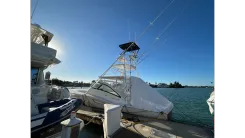 Buy a Tiburon 2024 at Shestakov Yacht Sales