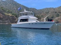 Buy a yacht 1993 Riviera 47 Open Flybridge 1993