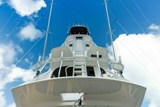 Купить Princess Lily 66