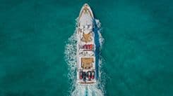 Купить STARSHIP 1988