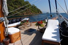 19 M Motorsailor price