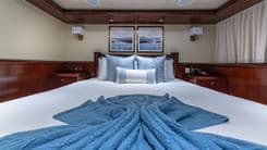 Лучшая цена на STARSHIP - VAN MILL