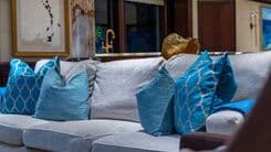 Купить STARSHIP - VAN MILL