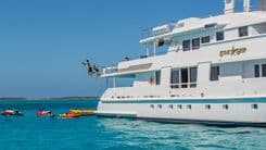 Продажа яхты STARSHIP