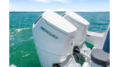 Купить Only 60 hrs! 2023