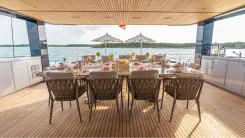 Купить VIVACE 102