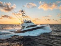 El Jefe - VIKING price