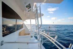 El Jefe 2015 yacht sale