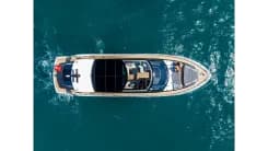 PREDATOR 65 Predator 65 price