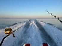 Buy a Otoro - TARGA at Shestakov Yacht Sales