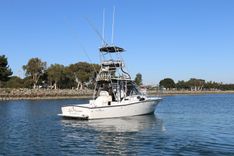 Buy a yacht Loco Mocean 280 EXPRESS FISHERMAN WITH TOWER